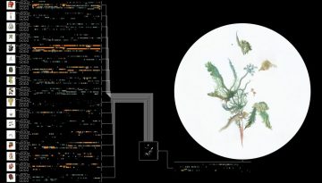 Entangled Others - 'self-contained 003' - still 01