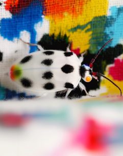 Grit_Wolany_Insecta-ex-machina-16-to-9_6