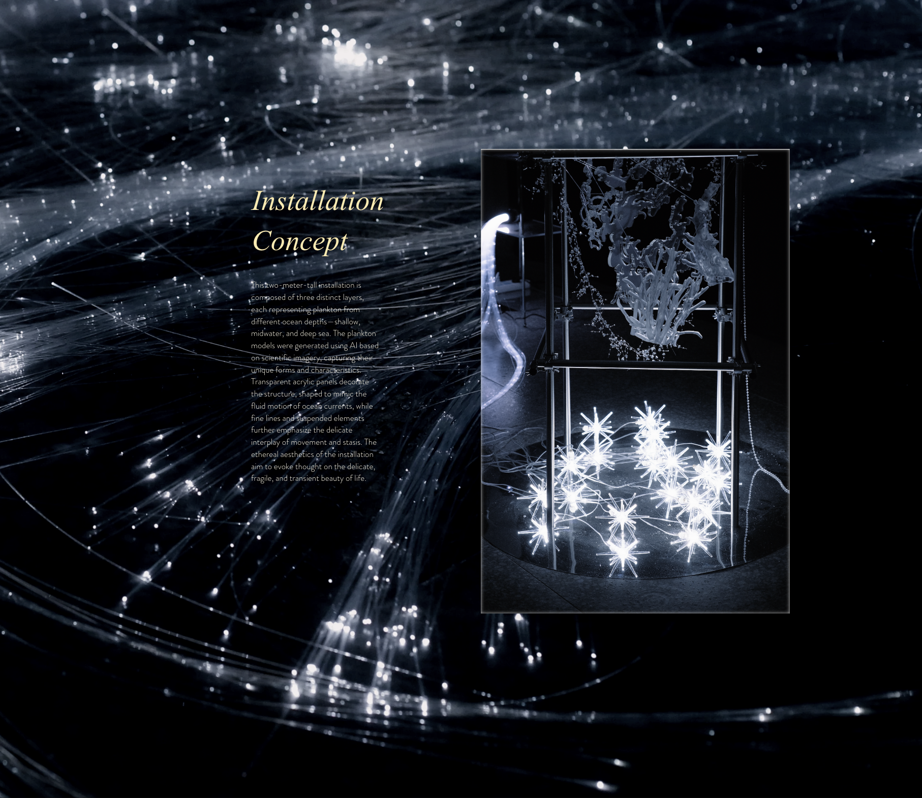 Screenshot 2024-12-30 at 5.50.06 PM