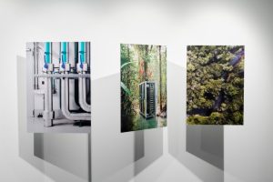 VONTOBEL_ANG4_Emidio Battipaglia_2024_007_LowRes VONTOBEL_ANG4_Emidio Battipaglia_2024_007_LowRes