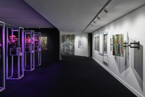 VONTOBEL_ANG4_Emidio Battipaglia_2024_009_LowRes VONTOBEL_ANG4_Emidio Battipaglia_2024_009_LowRes