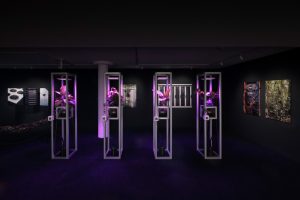 VONTOBEL_ANG4_Emidio Battipaglia_2024_010_LowRes VONTOBEL_ANG4_Emidio Battipaglia_2024_010_LowRes