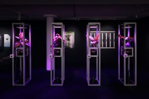 VONTOBEL_ANG4_Emidio Battipaglia_2024_011_LowRes