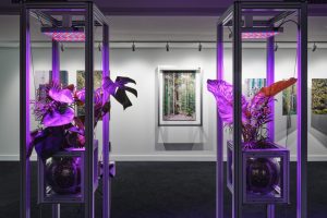 VONTOBEL_ANG4_Emidio Battipaglia_2024_012_LowRes VONTOBEL_ANG4_Emidio Battipaglia_2024_012_LowRes