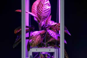 VONTOBEL_ANG4_Emidio Battipaglia_2024_014_LowRes