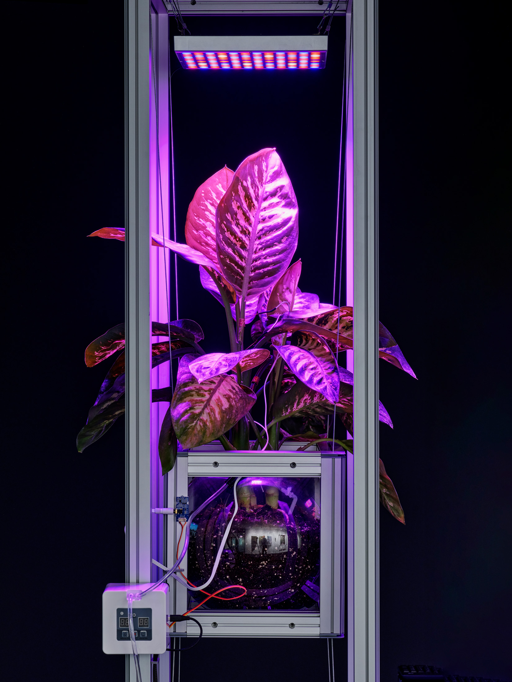 VONTOBEL_ANG4_Emidio Battipaglia_2024_014_LowRes