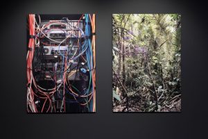 VONTOBEL_ANG4_Emidio Battipaglia_2024_018_LowRes