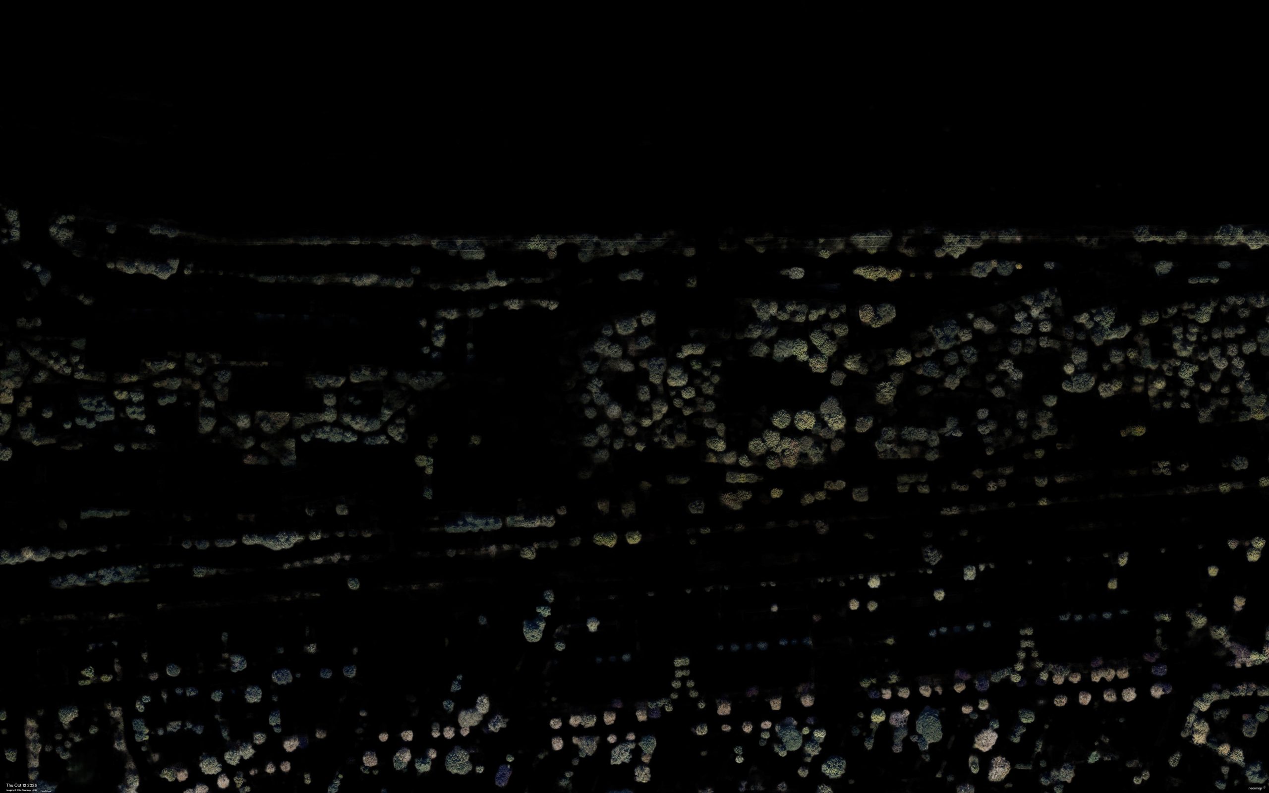 Nearmap AI Tree canopy